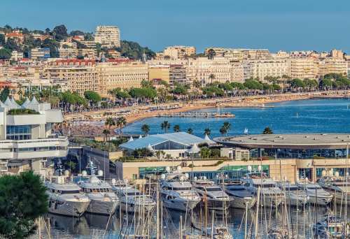 Domicilier son entreprise à Cannes