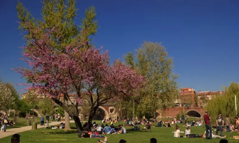 prairie des filtres de Toulouse durant l'été