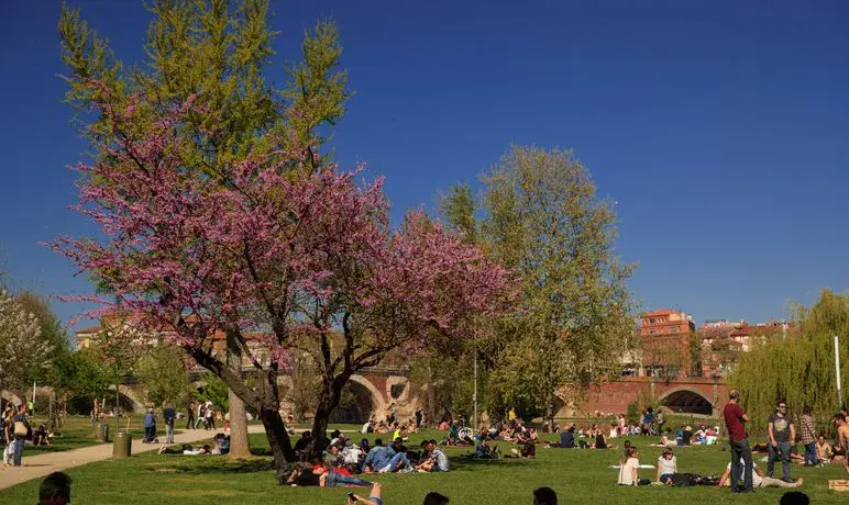 prairie_filtres.jpg prairie des filtres de Toulouse durant l'été